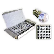鎢絲燈泡 小燈泡 2.5v 0.3A黃光 科學實驗 自然教學 電池座 馬達組 風扇組 燈泡組