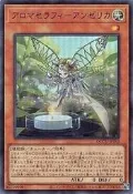 [逛逛賣場] 遊戲王 QCCU-JP162 芳香熾天使 歐白芷 (亮面) 