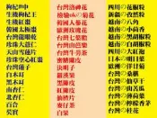LL【元氣食材總項】�枸杞▪紅棗▪菊花▪桂花▪黑棗▪新鮮人蔘▪花旗蔘茶▪雪蓮子