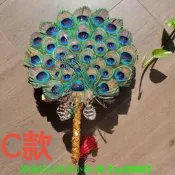 【可開發票】孔雀羽毛圓扇子絨毛表演舞蹈扇劇組拍攝道具表演大扇子