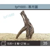 035-象牙木/天然流木/造景木/沉木/天然沉木/水族箱/水草箱/昆蟲箱/爬蟲箱