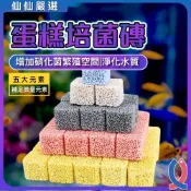 (店+)【Ray Ray 士林瑞瑞】蛋糕濾材 培菌磚 硝化菌屋 水族過濾 濾材推薦 培菌魔方 魚缸淨水 遠紅外線濾材 奈米磚 上部滴流盒 圓桶濾材 負離子濾