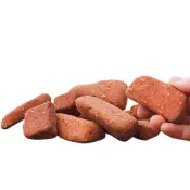 (店+)【綠色山嵐】大陶粒塊 1kg 多肉介質 鋪面裝飾 好運石 裝飾石 水族 多肉植物鋪面 景觀 園藝 盆栽