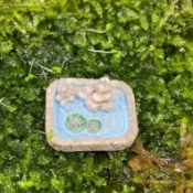 Rainxpluie 知雨若泥 盆栽組盆DIY•園藝裝飾•奶油膠配件•桌面擺飾•生態瓶•多肉花盆微景觀•小物 石頭小池塘