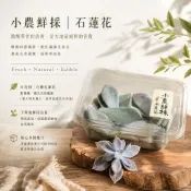 【小農鮮採】鮮採食用石蓮花/帶根小石蓮花/100%新鮮植物蒸餾✨銅鍋蒸餾✨石蓮花純露