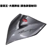 雷霆王-大盾牌組(銀色款雷射印)【SC36AG、SC36AF、SC36AE、光陽、內裝車殼】