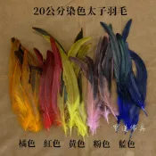 【寶蓮佛具】20公分 彩色款 帝雉毛 雉雞毛 野雞毛 羽毛 太子羽毛 中壇元帥 束冠