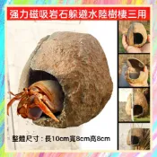 ★爬蟲新樂園★[台灣現貨]強力磁吸岩石躲避水陸樹棲三用躲避屋 造型逼真 樹酯材質 大小適中 不佔空間 高低可隨意擺放