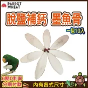 (店+)鈣粉【台灣24H出貨】100%天然補鈣 無漂白墨魚骨 鸚鵡 倉鼠 烏龜 陸龜 刺蝟 墨魚骨粉 睡鼠 營養補充品 爬蟲鈣粉