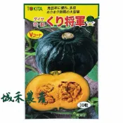 原包裝 30粒 日本將軍栗子南瓜種子 栗子南瓜種子 日本栗子南瓜種子 將軍栗子南瓜種子 栗子南瓜種子 南瓜種子 南瓜種子
