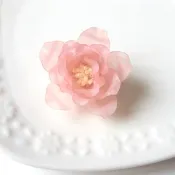 玫瑰胸針 摩納哥王妃 薔薇 玫瑰 單瓣 花朵 胸針 輕盈 粉紅 公主 可愛 甜美 葛麗絲凱莉
