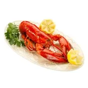 【優鮮配】高壓波士頓龍蝦650g/UHP黑盒/波龍第一品牌/HPP高壓殺菌 /蝦肉不黏殼