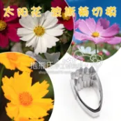 ♥抱熊氏 英式切模 太陽花 波斯菊花瓣切模 翻糖餅干軟陶粘土工具