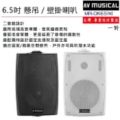【AV MUSICAL】OK65 懸吊/壁掛喇叭(一對/黑/白二色/贈SPK-200B喇叭線25M)全新公司貨