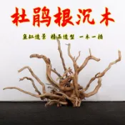 *🔥臺中🔥杜鵑根沈木魚缸造景裝飾杜鵑根壹木成景樹樁水族造景南美枝條樹枝