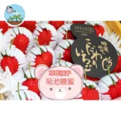 🍓【日本頂級種源】熊本日之滴草莓種子 菊池糖蜜草莓 夢幻高甜品種 稀有高規格種子約100粒 陽台盆栽家庭果園珍貴贈禮首選