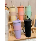 (店+)喝水都變有儀式感｜830ML陶瓷易潔吸管杯 霧面不鏽鋼｜豪華全套組