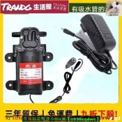 【現貨可開統編】輕便型汙水沈水泵浦手提抽水機#直流微型水泵12v自吸泵隔膜高壓洗車增壓專用1100V抽小水泵自