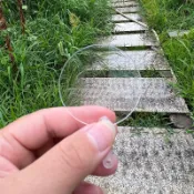 50把咕卡貼紙迷你透明扇空白mini娃用小朋友小扇子diy手工幼稚園