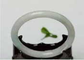 女人要有錢超美緬甸玉多彩手鐲 天然玉石翡翠A貨冰糯種飄花淡綠彩特年輕款 水頭好玉鐲 附精美禮盒#F1801A/19.8圍