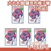 【5包組】日本製🇯🇵大丸本舗 fujicco 鹽昆布梅子糖 鹽分補給 夏季 北海道昆布 紀州梅 露營 健行 爬山 戶外【小福部屋】