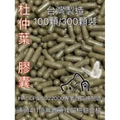 《新港青草大王》杜仲葉膠囊（萃取物）100/300顆裝（夾鍊袋包裝）台灣製造👍