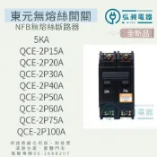 無熔絲斷路器 QCE-2P15A~100A 附發票 快速出貨 無熔絲開關 5KA NFB 東元電機
