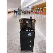 ｜𝗟𝗶𝗲𝗯𝗲 𝗸𝗶𝗱𝘀 ｜💥現貨💥【開發票】香港百寶袋王©️ 2023夏季新上市-大容量旅行沙灘多功能包