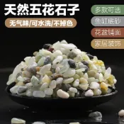🔥臺灣熱銷灬🔥五彩石 彩色石子 天然五彩顆粒 小石頭 白色石子 多肉鋪面石 裝飾小石頭 水培彩色魚缸底沙多肉專用鋪面