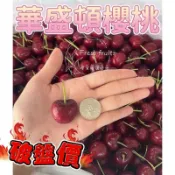 蝦皮最低五公斤🔚免運🎊  智利櫻桃 美國加拿大櫻桃 冬天的紅寶石 智利櫻桃 澳洲櫻桃櫻桃禮盒