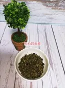 【金豪茶業】松柏四季春茶(散裝300.600公克)團購/批發/商業生意用/飲料原料