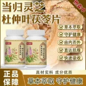 ✨免運✨精品推薦?? 善維濰森當歸靈芝杜仲葉茯苓片 當歸 靈芝 杜仲葉 茯苓片 耳鳴