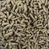 24H挑戰最便宜 混合牧草顆粒飼料 500g 兔子飼料 牧草飼料 兔飼料 混合牧草飼料 天竺鼠飼料 寵物兔 混合牧草飼料