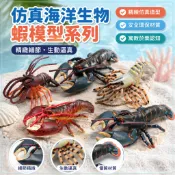 🌈「美可動物模型」仿真海洋生物蝦兒童認知波士頓龍蝦海蝦海底裝飾擺件