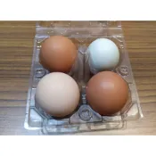 全新現貨 鴨蛋 雞蛋 包裝盒 雞蛋收納盒 透明蛋盒 雞蛋盒 4粒裝 4枚 4顆 4格 塑膠蛋盒 雞蛋托 透明包裝盒