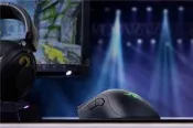 RAZER 雷蛇 DeathAdder Elite 蝰蛇經應版 鼠標 16000DPI