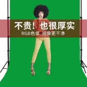 48h出貨丶綠幕摳像布加厚專業綠布背景布設備全套間背景牆綠色