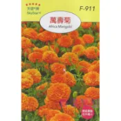 【萌田種子~】Y70 萬壽菊Africa Marigold~穗耕種苗~天星牌種子~