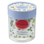 My Oil買好油 日本WEDGWOOD英式精品茶包組合草莓茶早餐茶野餐茶婚禮小物英式下午茶禮盒附圓形收納禮盒36入款現貨