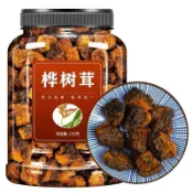 【俄羅斯進口】樺樹茸 樺褐孔菌 白樺茸 黑金樺 野生黑金樺 原裝 野生進口 樺樹茸粉 樺樹茸茶 養生 保健 天然