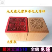 九天應元雷聲普化天尊印 道敎印章 單麵印 道傢桃木印章 道士用品