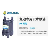 園藝灌溉 淹水颱風抽水馬達 大井 沉水幫浦 PK100 24小時用 抽水機積水排除 長時間魚池造景 海水適用 抽水馬達