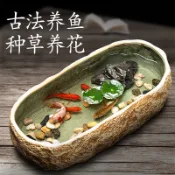 【廠家直銷】古法養魚缸生態造景碗蓮陶瓷盆家用陽台小魚池小型裝飾仿石頭魚缸古法養魚缸 生態造景碗蓮 陶瓷盆 家用陽台水培池