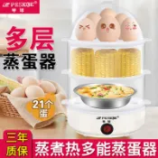 台灣熱賣 自動斷電煮蛋器家用蒸蛋器小型早餐神器多功能蒸蛋羹宿舍