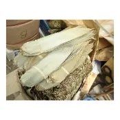 【i郵購】富隆莊網路行銷 特選品 小肉粽葉 (600g)