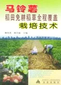 【三民網路書店】馬鈴薯稻田免耕稻草全程覆蓋栽培技術（簡體書） 作者：賴鳳香