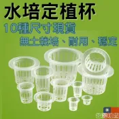(店+)沐晨植物園｜定植杯 定植藍 定植籃 水培藍 水耕 水培 魚菜共生 無土栽培 園藝 植物固根器 水耕植物 水培固定器