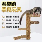 【小囧家】隔日達蜜袋鼯攀爬玩具 花椒木站棍 小蜜站棍 蜜袋鼯站棍 籠內站棍 站棍 單鎖 多尺寸 磨指甲站棍 站棒 棲木棒