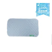 長青樹 超涼感枕巾(成人枕頭適用 涼感透氣舒眠) 台灣製 9567