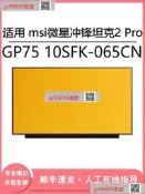 現貨詢價 msi沖鋒坦克2 Pro GP75 10SFK-065CN 173寸（LCD）屏幕更換